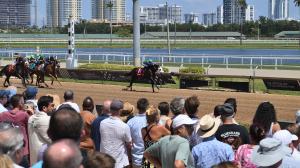 Noel Michaels handicapping, Gulfstream Park, Americas Best Racing Sunday Selections